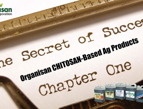 Chitosan: Nature’s Secret Weapon in Agriculture!